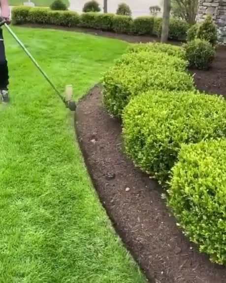 This lawn trimming