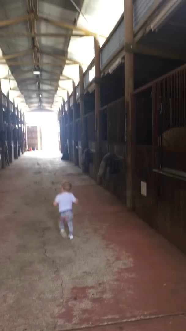 Little girl greets her horse friends