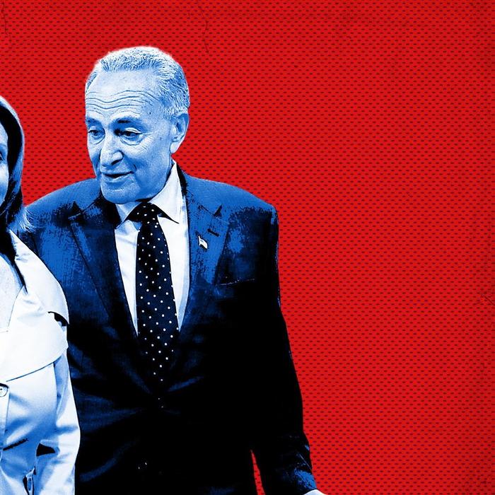 Chuck Schumer and Nancy Pelosi Have No Idea What Kind of Fight They're In