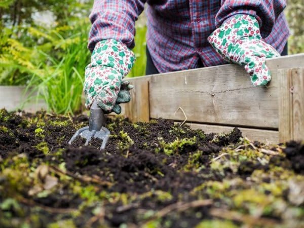 10 Brilliant Gardening Tips for Lazy Gardener
