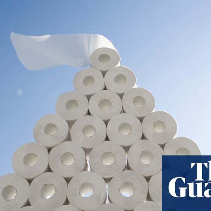 Wiped out: America's love of luxury toilet paper is destroying Canadian forests