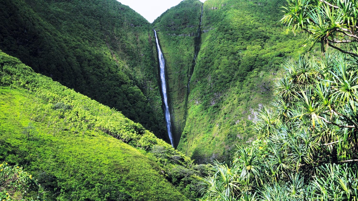 Papalaua Falls - Best Waterfalls in Hawaii