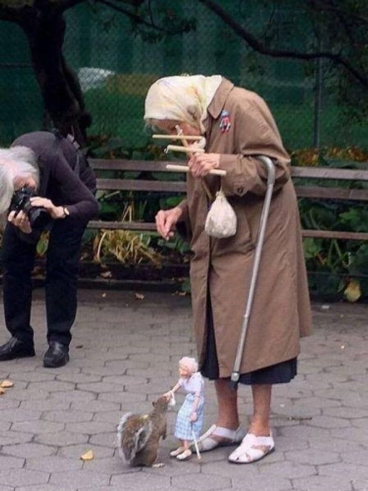 This old lady uses a puppet to feed the squirrels in the park.