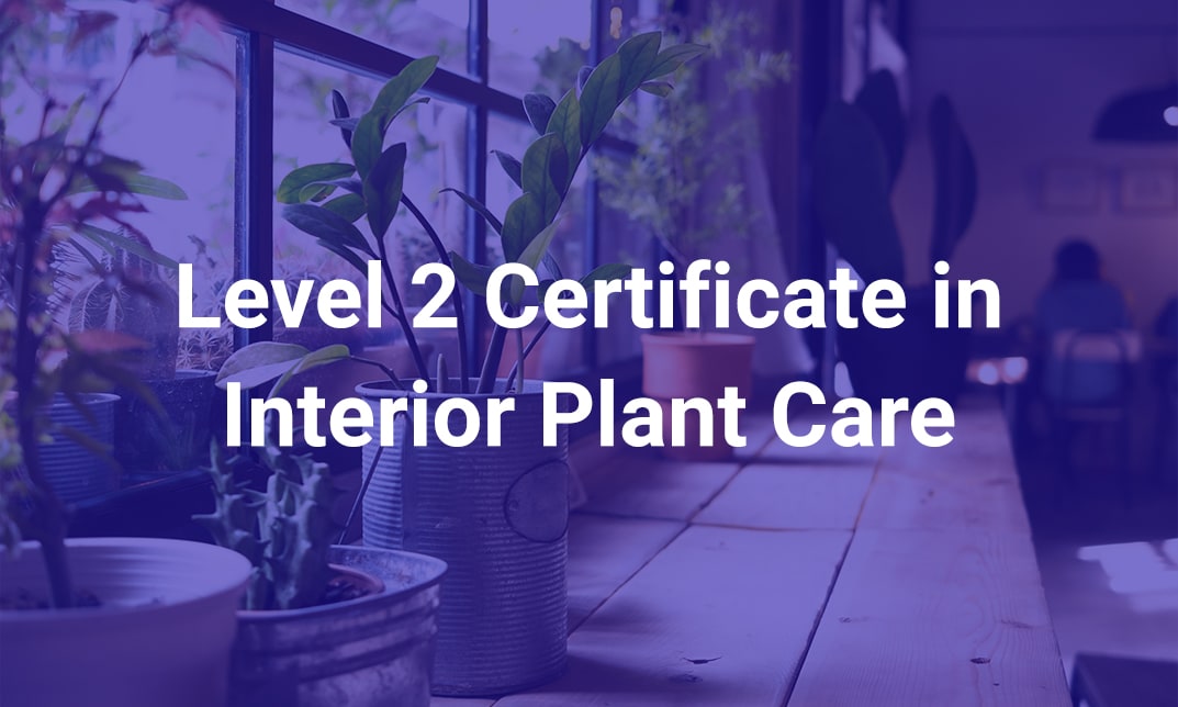 Level 2 Certificate in Interior Plant Care Private