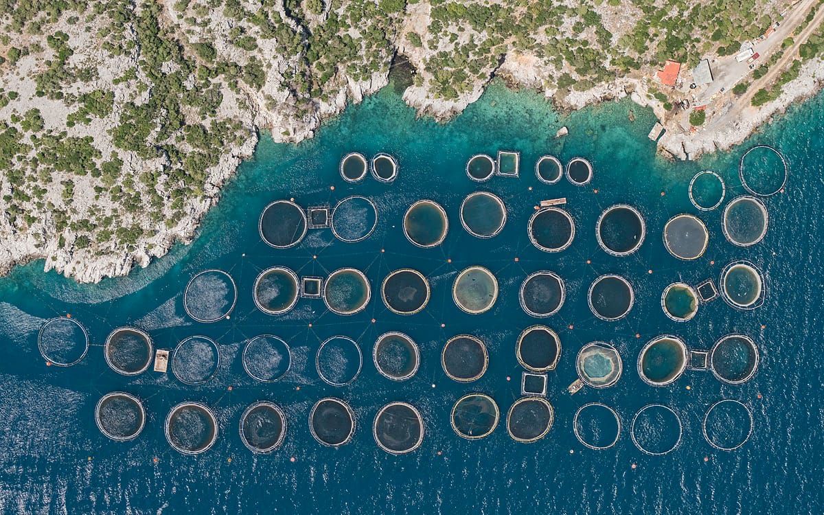 Surreal Aerial Views of Fish Farms Captured by Bernhard Lang — Colossal