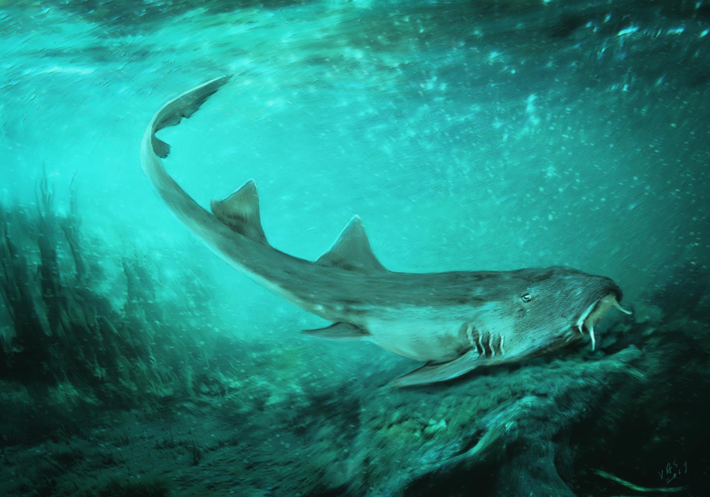 New Prehistoric Shark Species Discovered Alongside Sue the T. Rex