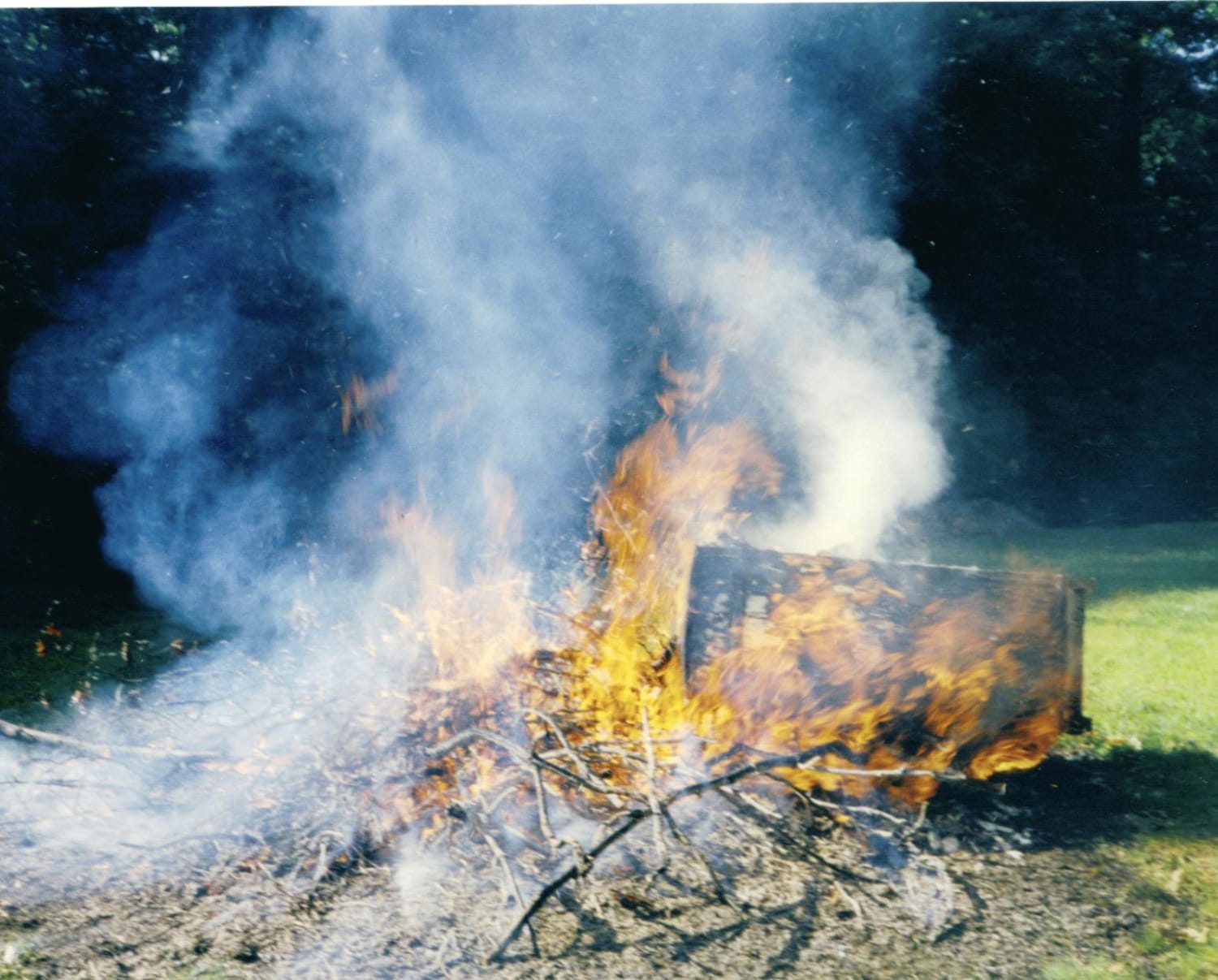 My grandma took this picture in 1985. A bunch of people see a bunch of different things. Some see a devil, some see an Indian, a lion and skulls. This was a random brush fire that happened in her yard.