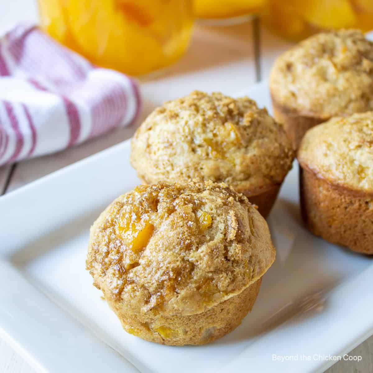 The Best Muffin Recipes - Beyond The Chicken Coop