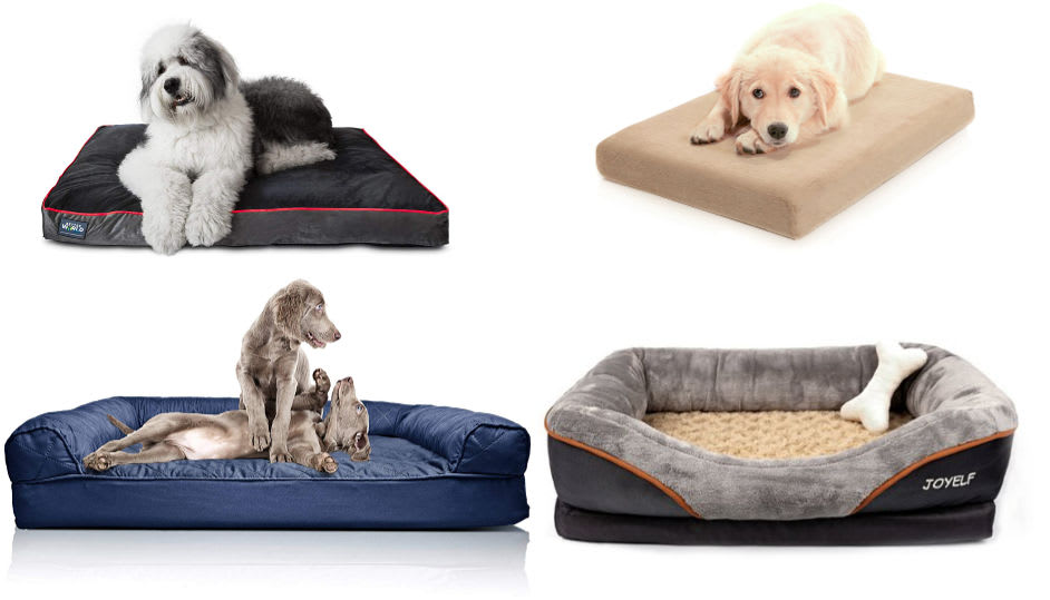 15 Best Extra Large Dog Couches