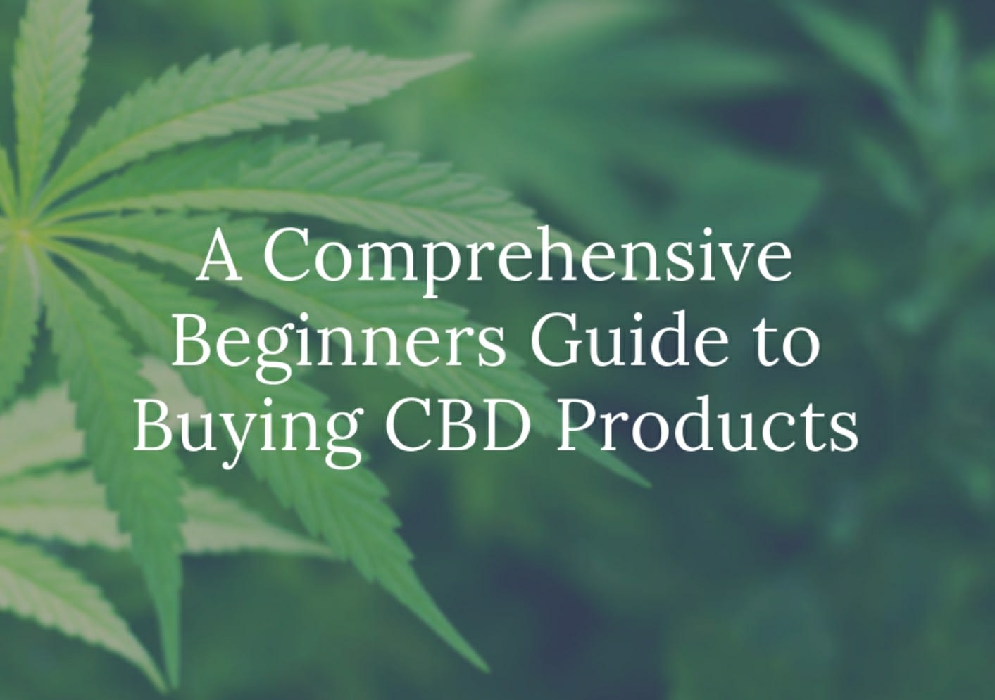 A Comprehensive Beginners Guide to Buying CBD Products - A Journey Through the Fog
