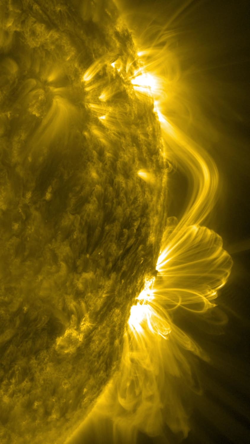 Coronal loops on the Sun are captured in ultraviolet light using the 171 ångström channel of the Atmospheric Imaging Assembly