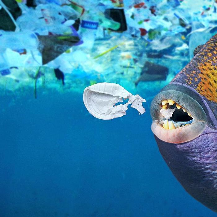Serious efforts are being made to clean up the oceans