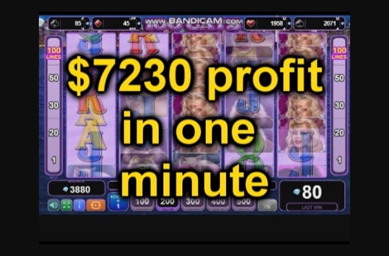 online slots games -$7230 in 1 minute - slot crazy - pets and animals