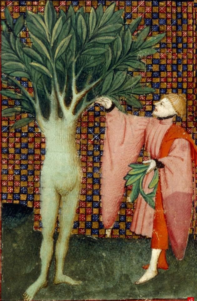 Love a tree. Daphne, half-woman and half- laurel tree with Apollo The Book of the Queen, c 1410-c 1414, Harley… | Medieval artwork, Medieval paintings, Medieval art
