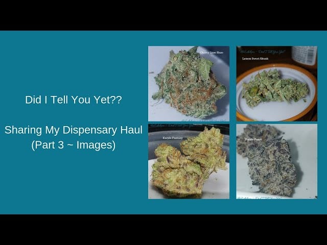 (Part 3 ~ Images) Sharing My Medical Cannabis Dispensary Visit