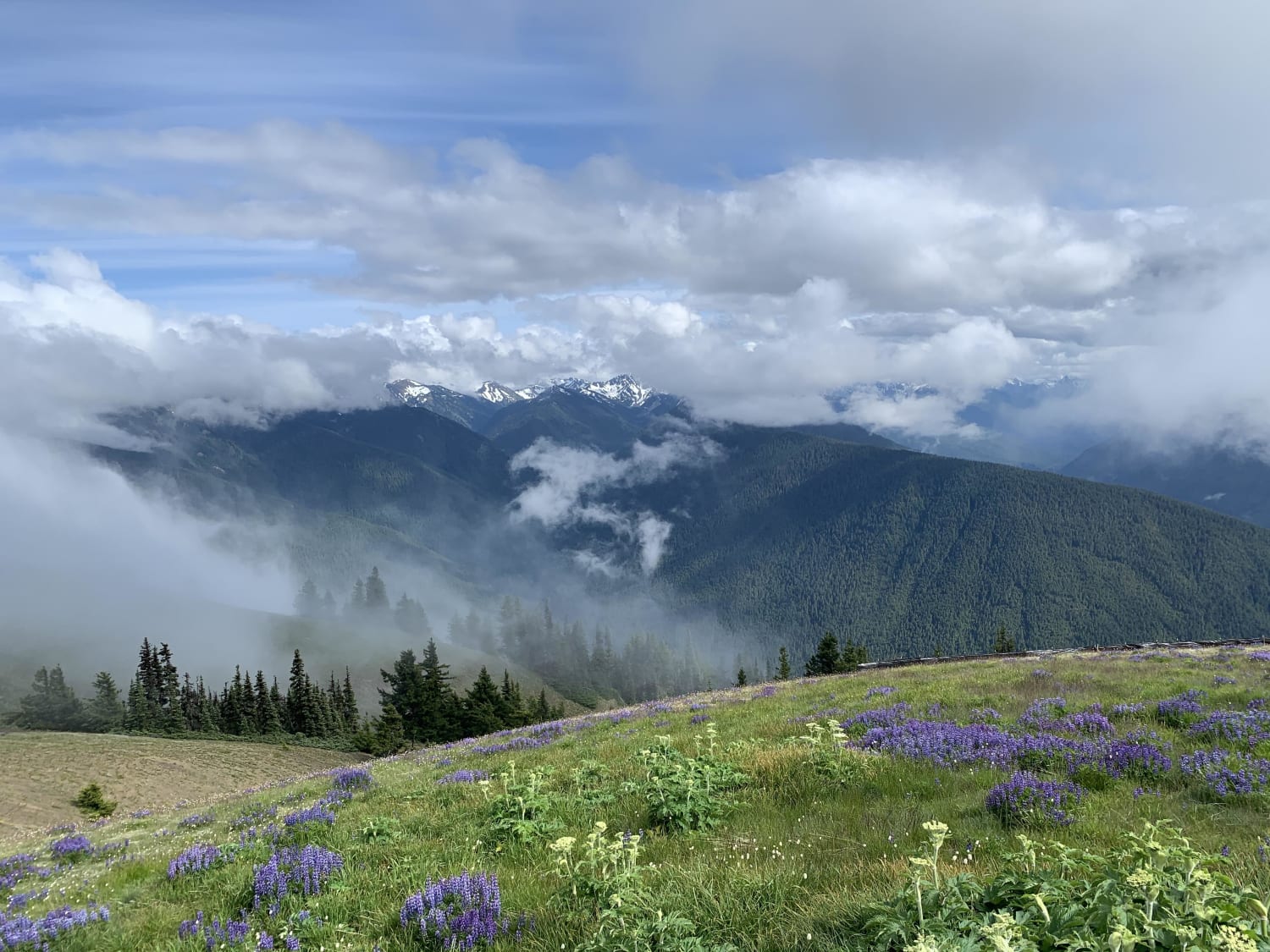 The Clouds Rolling In - Olympic National Park, Washington State