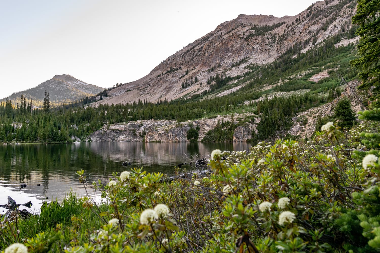 Lovely view from our campsite at Farley Lake in the Sawtooth Wilderness about a month ago. Not pictured: the hoards of mosquitoes that came out for the sunset.