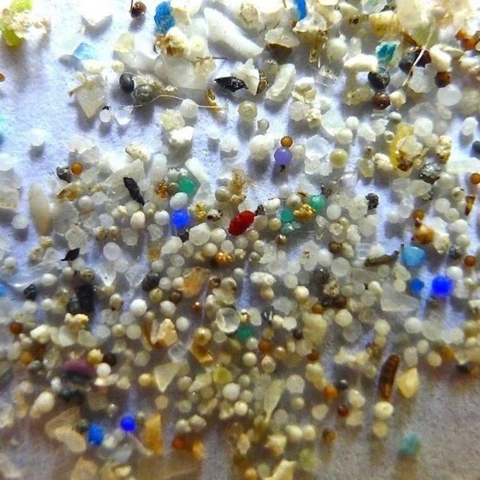 Microplastics Detected in Human Stool Samples for First Time