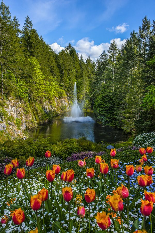 fountain and tulips | Paisajes, Hermosos paisajes, Paisajes naturaleza