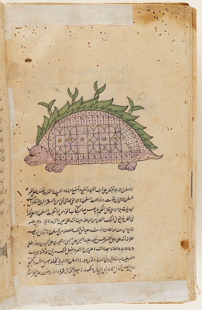 #WorldTurtleDay: giving new meaning to the phrase โlooking like a snack ...