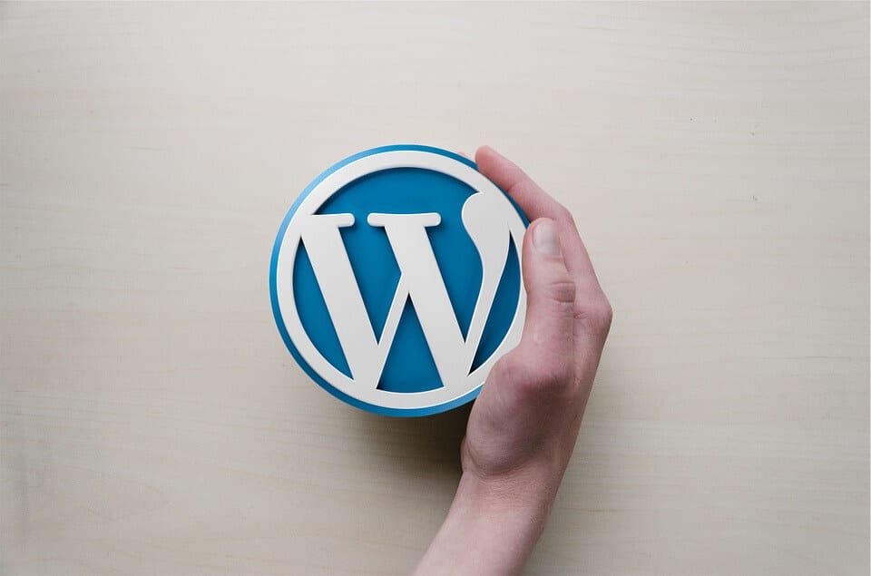 Misconceptions You Need To Know Before Hire Dedicated WordPress Developer