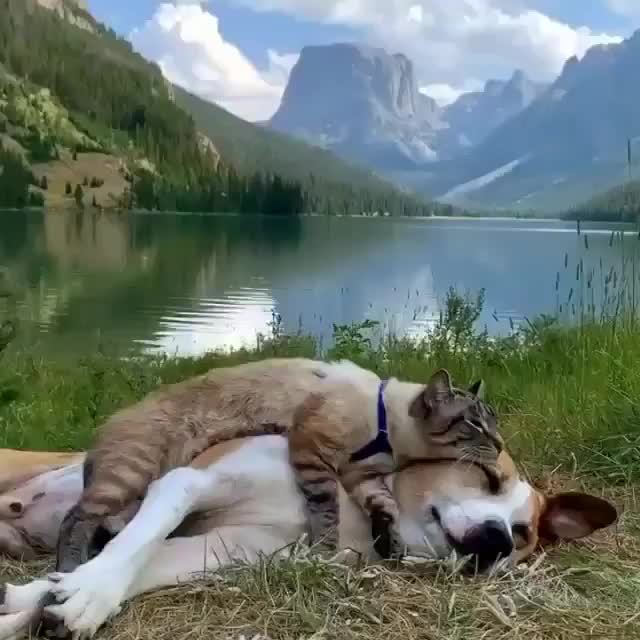 Taking a nap in most beautiful place