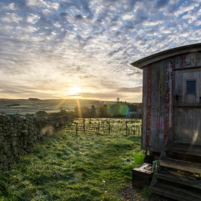 Wild Northumbrian - The Shepherds Hut