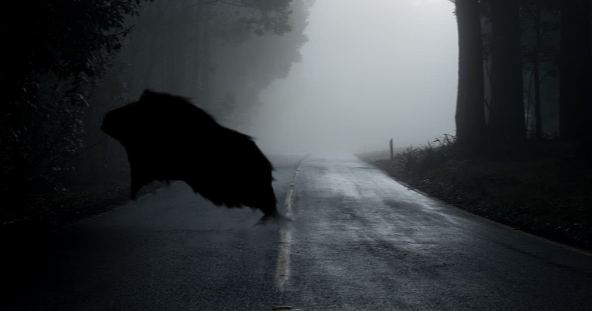 Dark Figure Crosses The Road