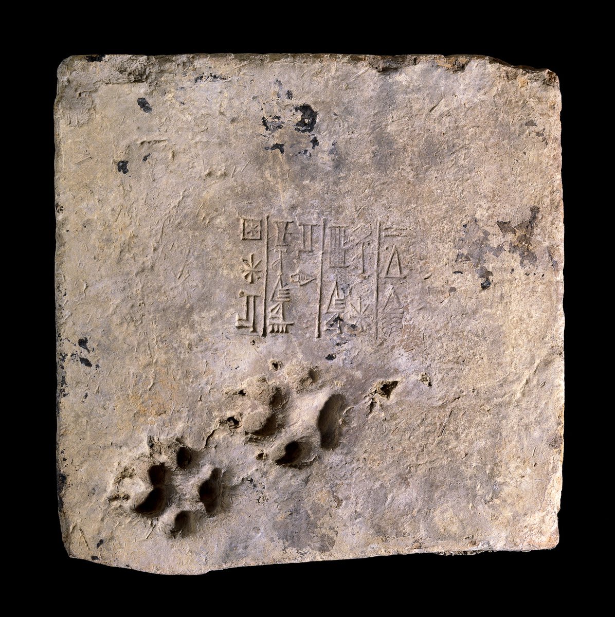 4,000 years ago, a dog left its pawprints in this Mesopotamian brick 🐾 It’s also stamped with cuneiform text that includes the name of Ur-Nammu, ruler of Ur (in the south of modern-day Iraq) between about 2112–2095 BC