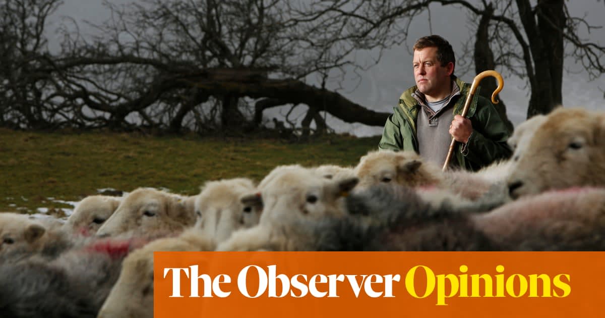 Enough with 'local' and 'organic'. We'll begin to eat well when we farm well | James Rebanks