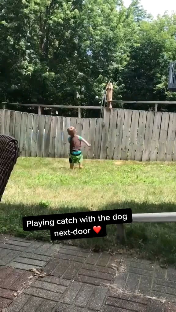 Get the kid a dog