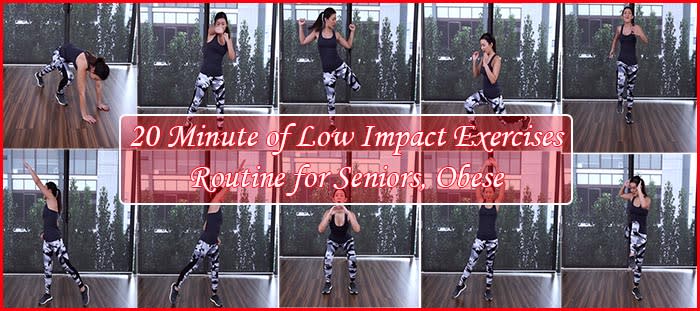 20 Minute Routine of Low Impact Exercises for Seniors, Obese [with GIFs]