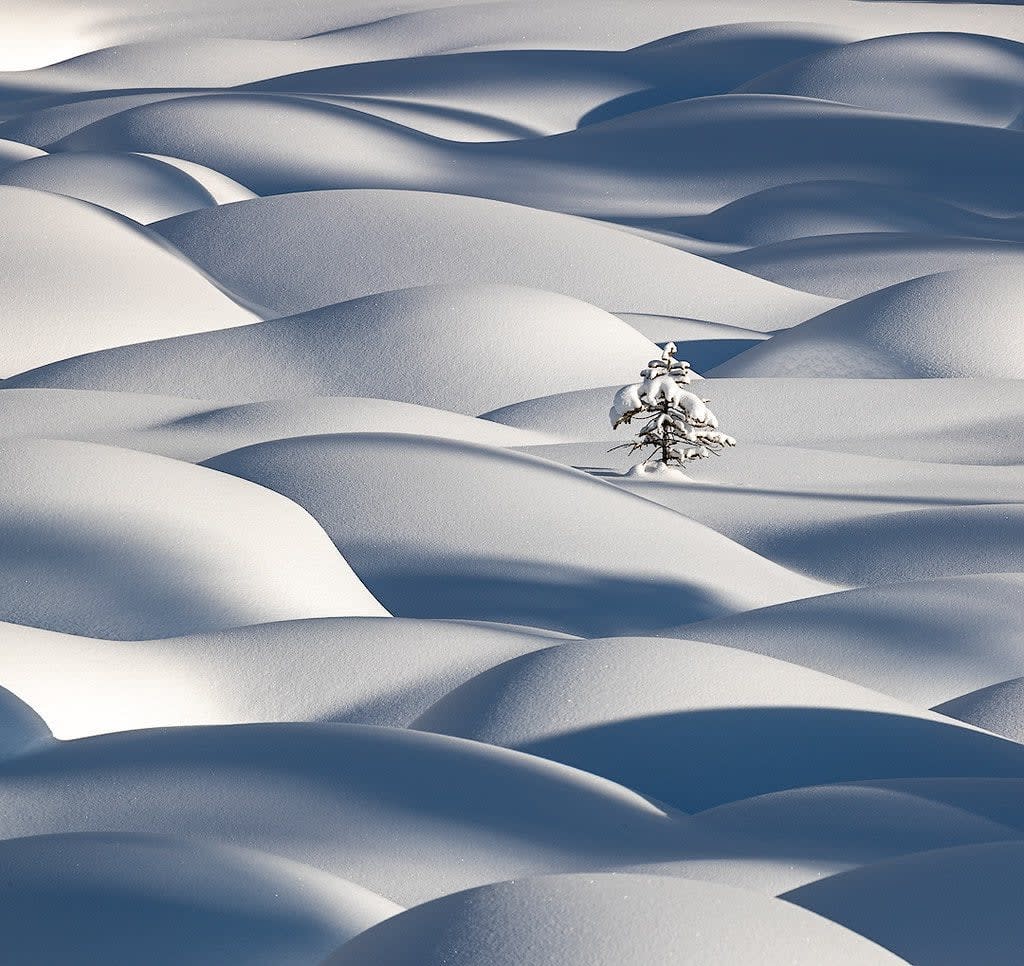 The smoothest snow, Alberta, Canada (Photo: Vikki Macleod) [OS]