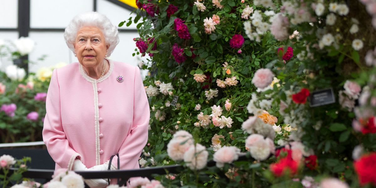 The best mood-boosting flowers, according to the Royals