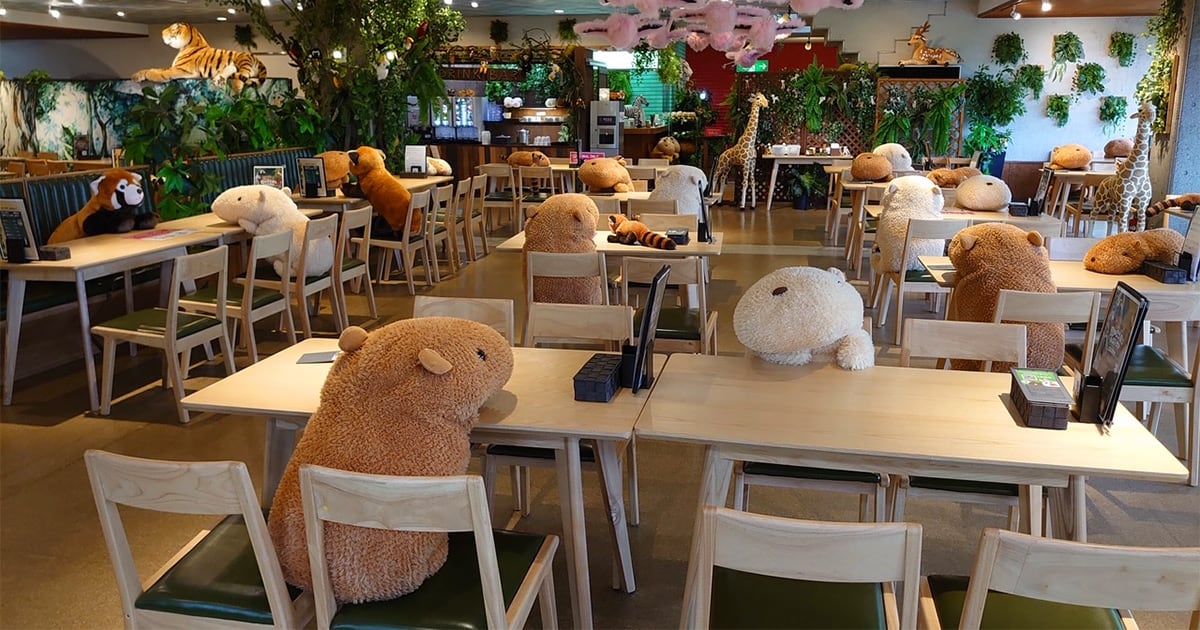 This Japanese Zoo is Using Stuffed Capybaras to Visualize Social Distancing