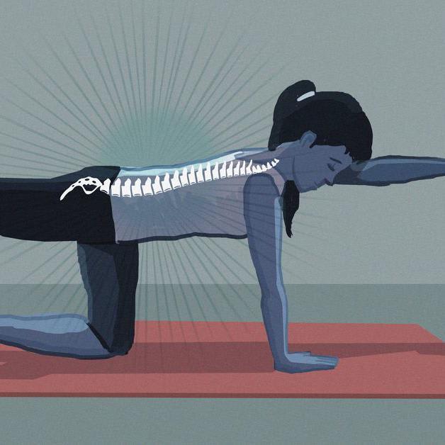 A comprehensive guide to the new science of treating lower back pain