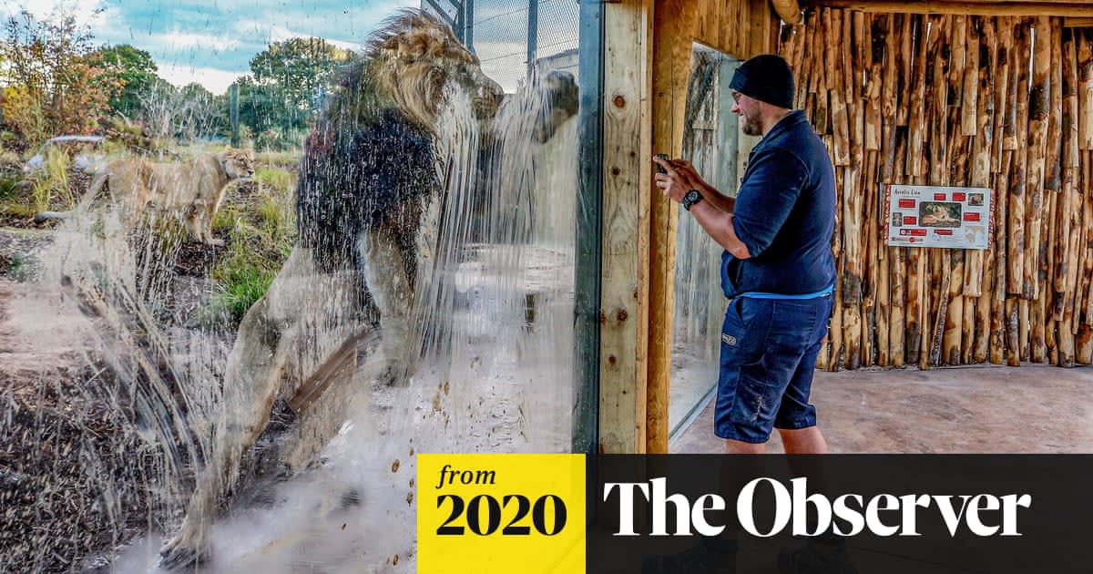 Is it time to shut down the zoos?
