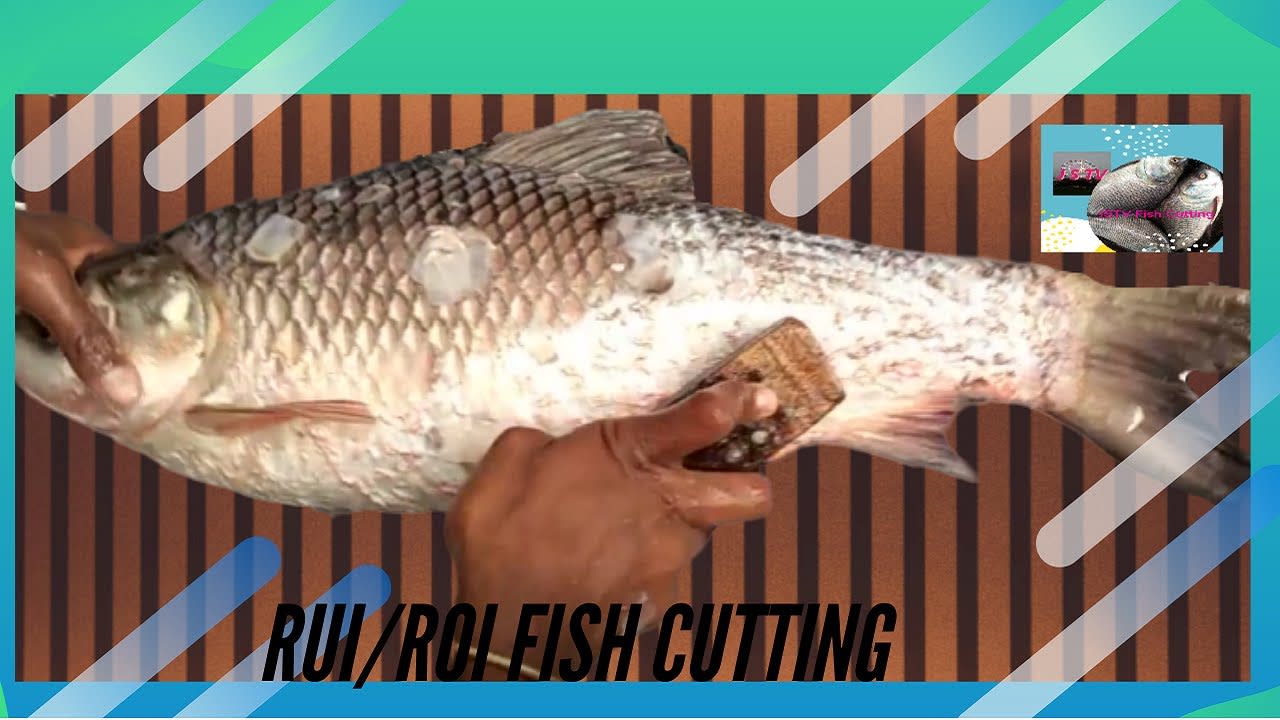 How to Incredible Fast Rui/Roi Fish Cutting in Fish Market