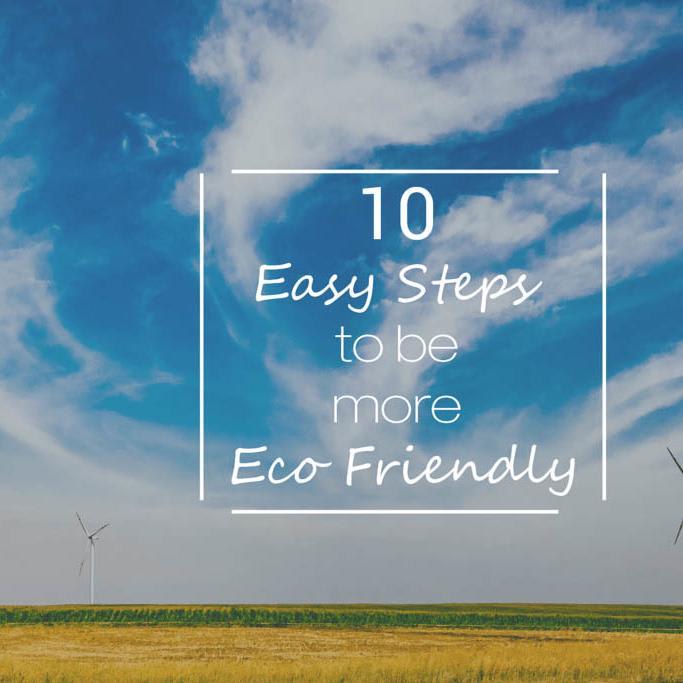 10 Easy Steps to be More Eco Friendly