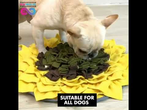 Puppy Dog Release Training Blanket Splice - Plusminusco