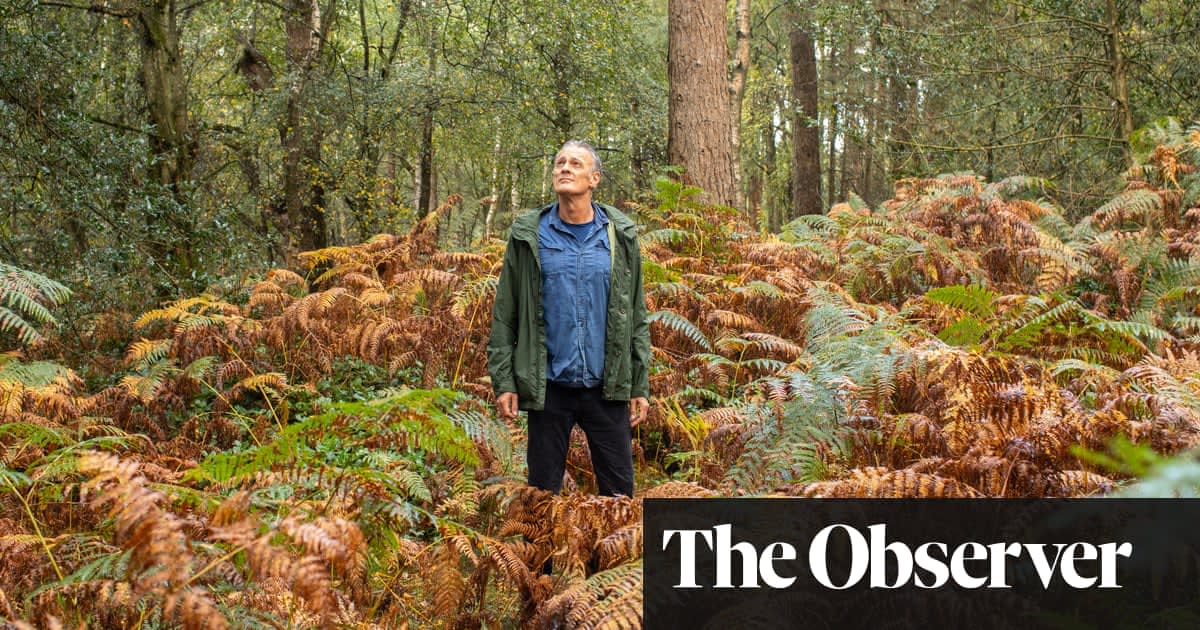 Walking in an autumn wonderland: how I found awe in deepest Surrey