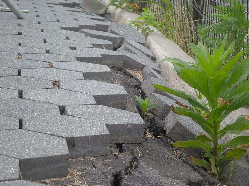 Paver Edging - All Need to Know About installation, Borders & Restraints