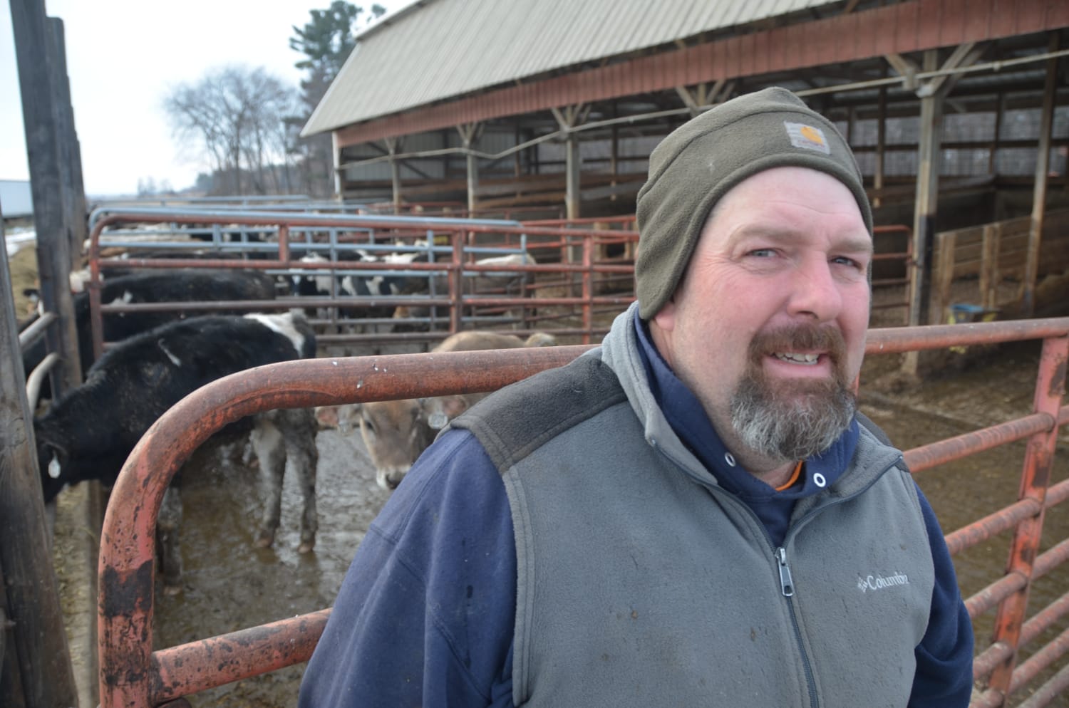 Could Supply Management Help Struggling Dairy Farmers?