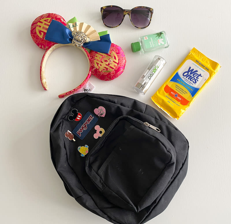 Minimalist Packing for a Disneyland Day Trip