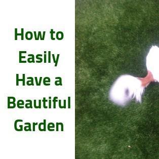 How to - Gardening Easily - Inspiring Mompreneurs