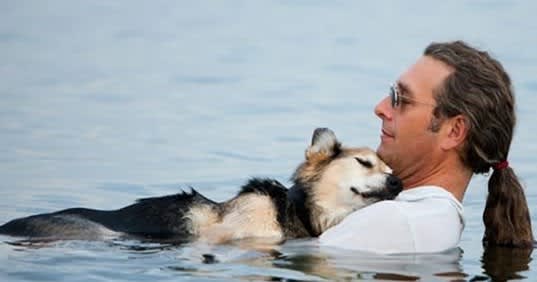 Man Floats With 19 Year Old Elderly Dog Every Day To Ease His Pain