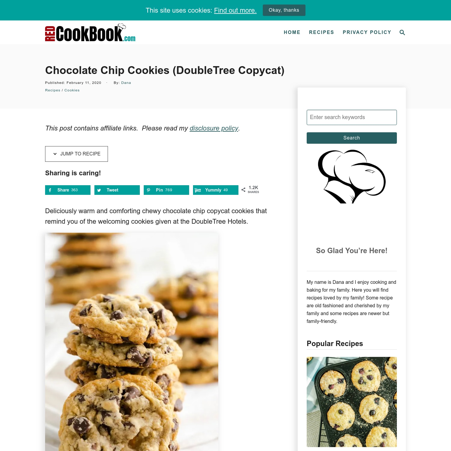 Chocolate Chip Cookies (DoubleTree Copycat)