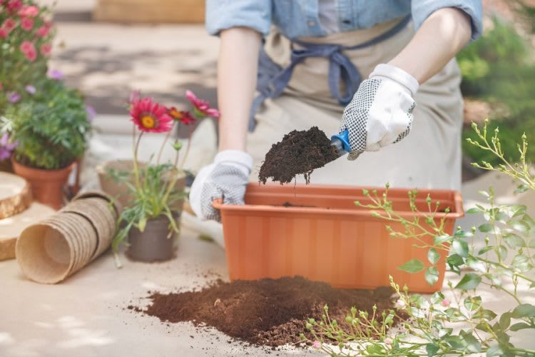 How to Make Potting Soil For your Garden?