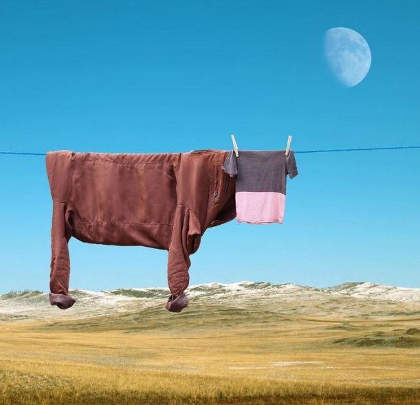 just a random art with spread laundry.