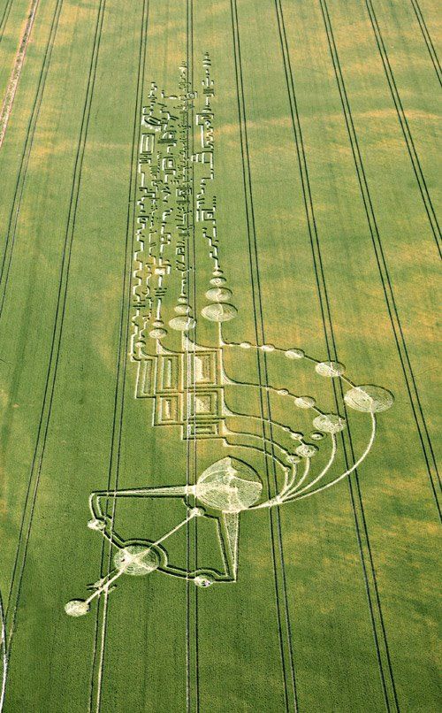Mary Quite Contrary | Crop circles, Crop circles sacred geometry, Ancient aliens